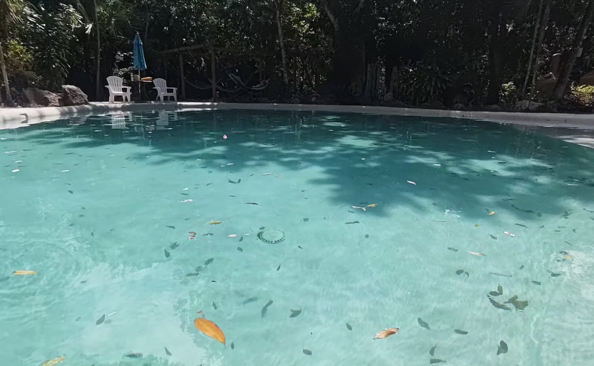 Hotel for sale Cancun highway