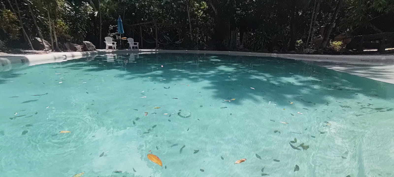 Hotel for sale Cancun highway