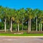 Terrenos en venta en Vía Cumbres oportunidad