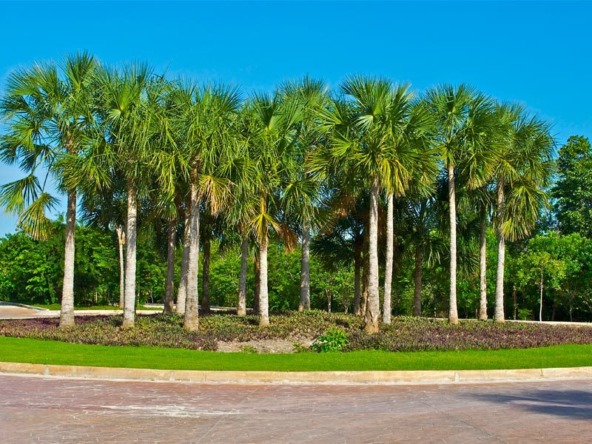 Terrenos en venta en Vía Cumbres oportunidad