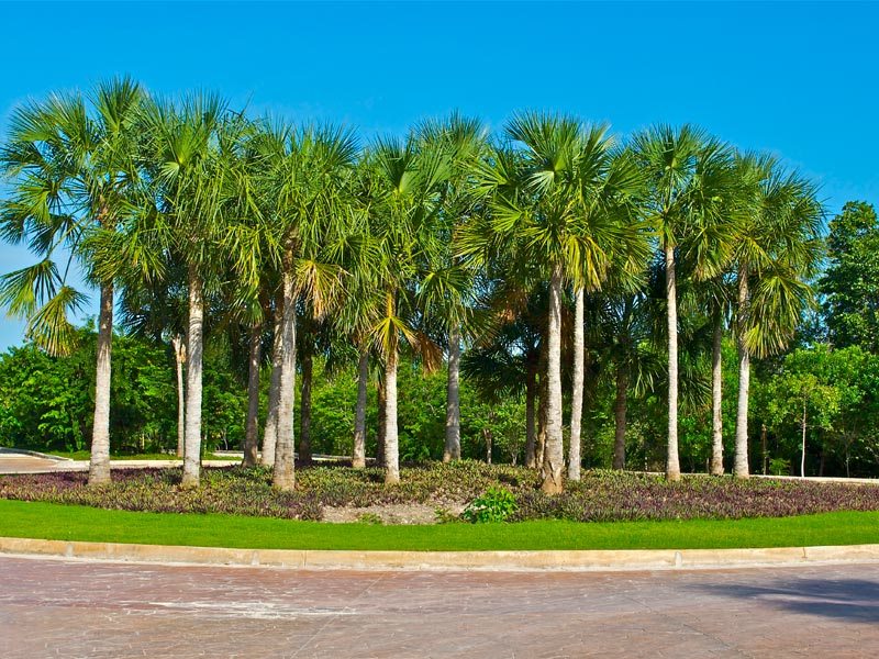 Terrenos en venta en Vía Cumbres oportunidad