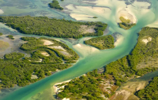 Terreno Frente al Mar Cabo Catoche Holbox en Venta
