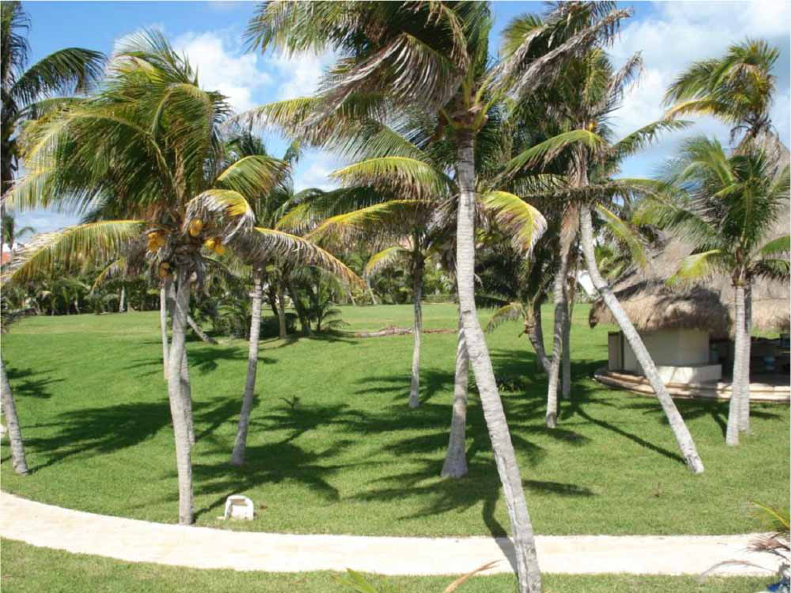 Terreno hotelero Riviera Maya